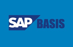 SAP Basis服务外包